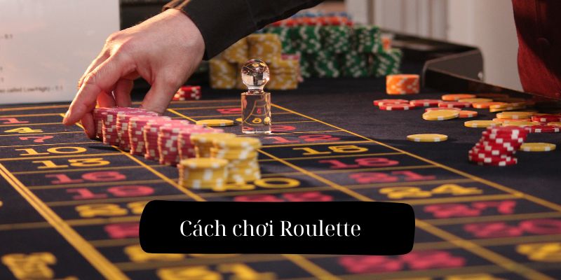 Những loại cược phổ biến trong cách chơi roulette